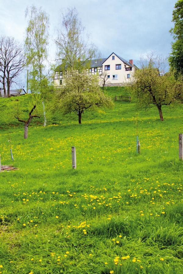 Berghof Apartamento Zeulenroda-Triebes Exterior foto